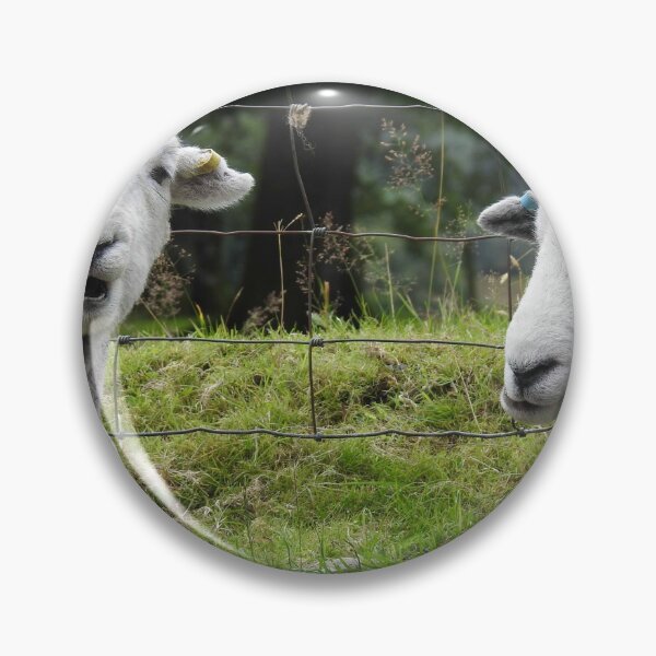 Item preview, Herdwicks designed and sold by Photoboxything.