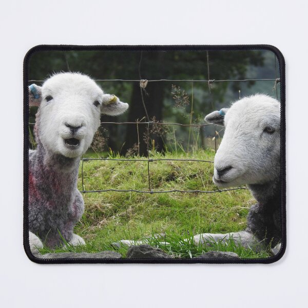Item preview, Herdwicks designed and sold by Photoboxything.