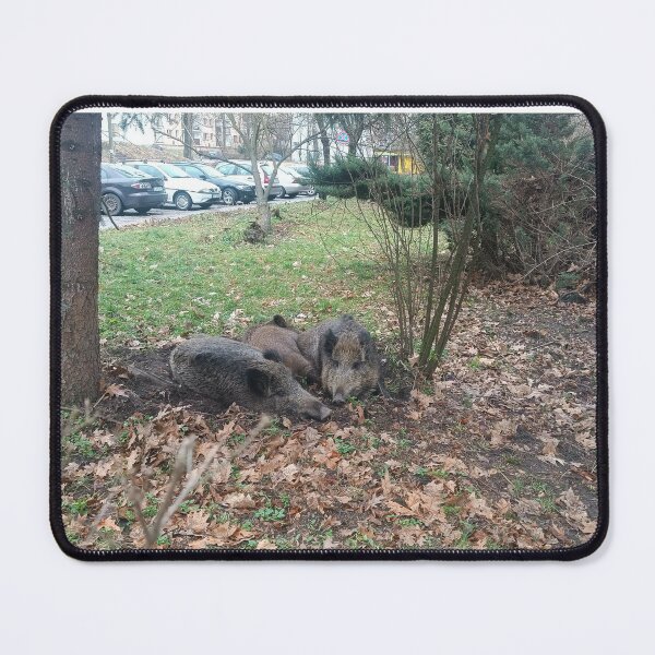 Item preview, the boars in the city designed and sold by MyHappyArtShop.
