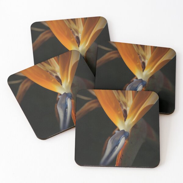Item preview, Bird of Paradise Flower designed and sold by laura leclerc.