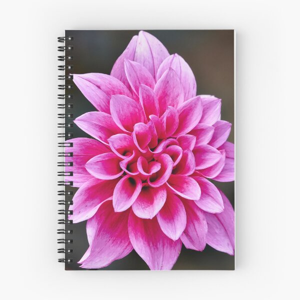 Item preview, Pink Burst designed and sold by Eidetic Photos.
