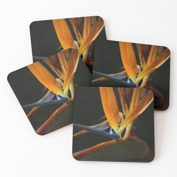 Item preview, Bird of paradise designed and sold by laura leclerc.