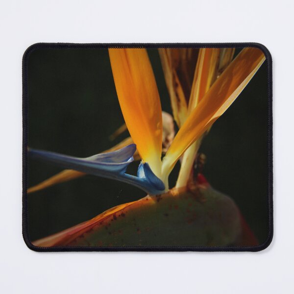 Item preview, Bird of paradise designed and sold by laura leclerc.