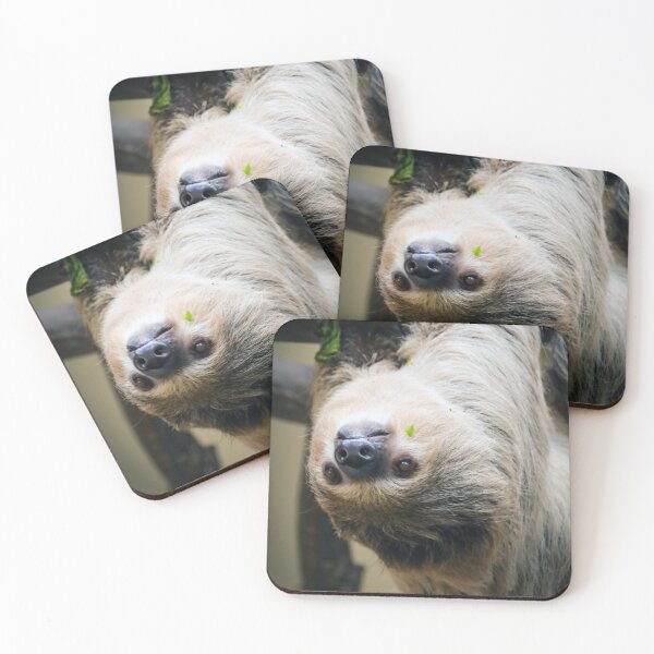 Item preview, Sloth 001 designed and sold by JAMFoto.