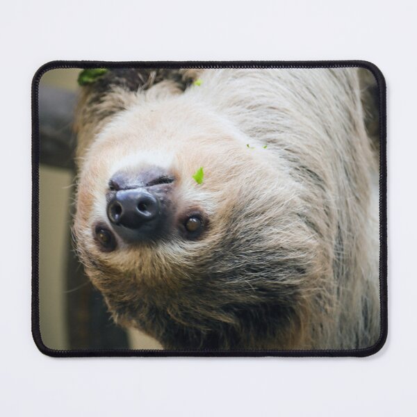 Item preview, Sloth 001 designed and sold by JAMFoto.