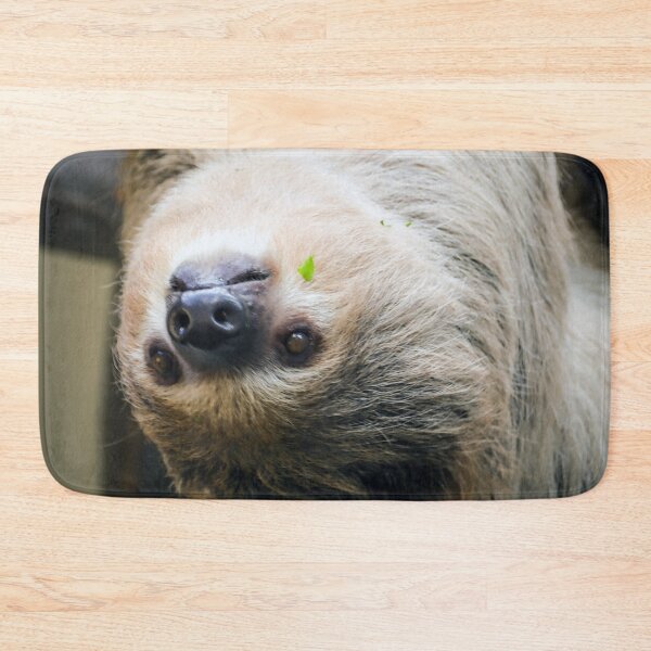 Item preview, Sloth 001 designed and sold by JAMFoto.
