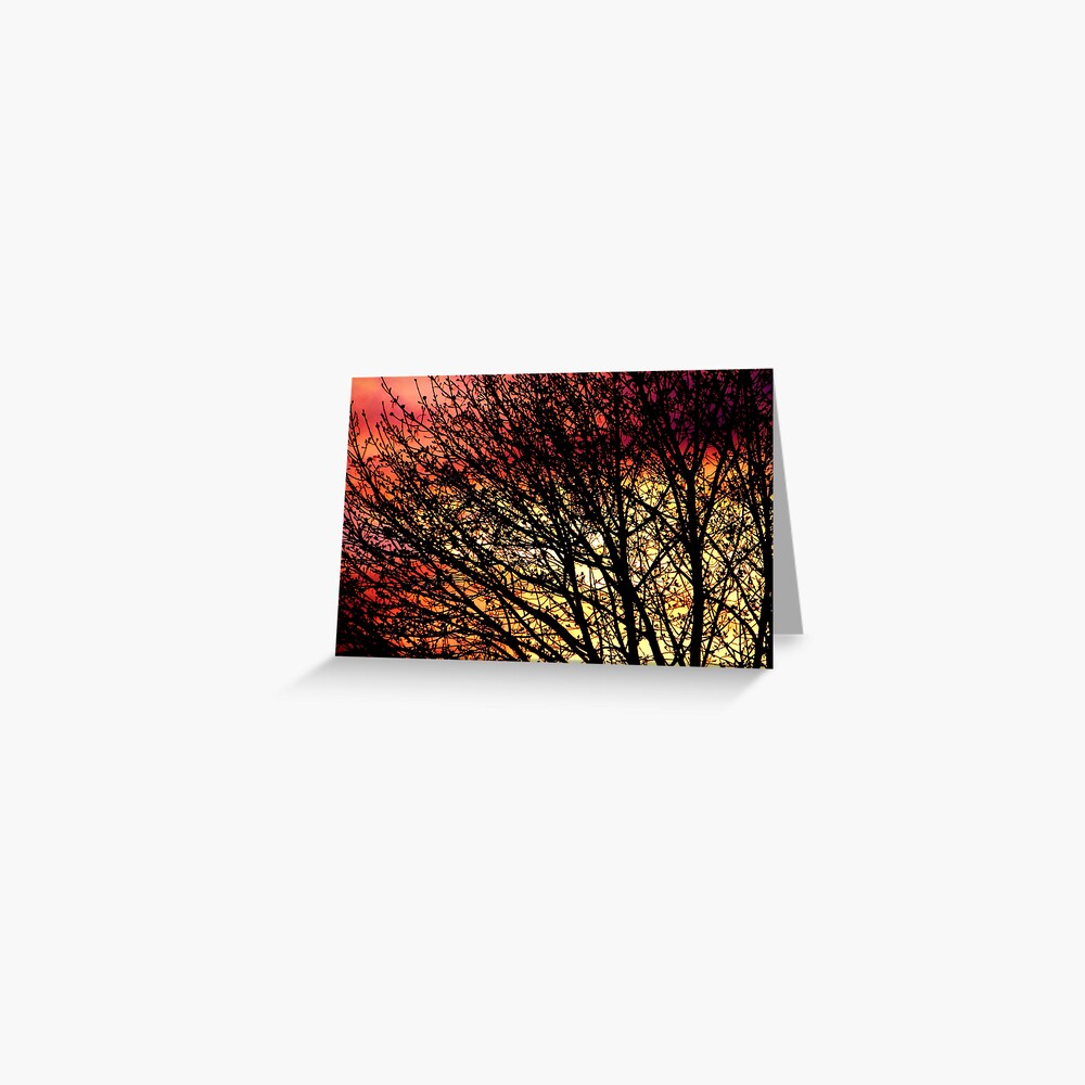 Evening Light in Rose and Gold Greeting Card