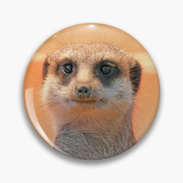 Item preview, Meerkat 119 designed and sold by JAMFoto.