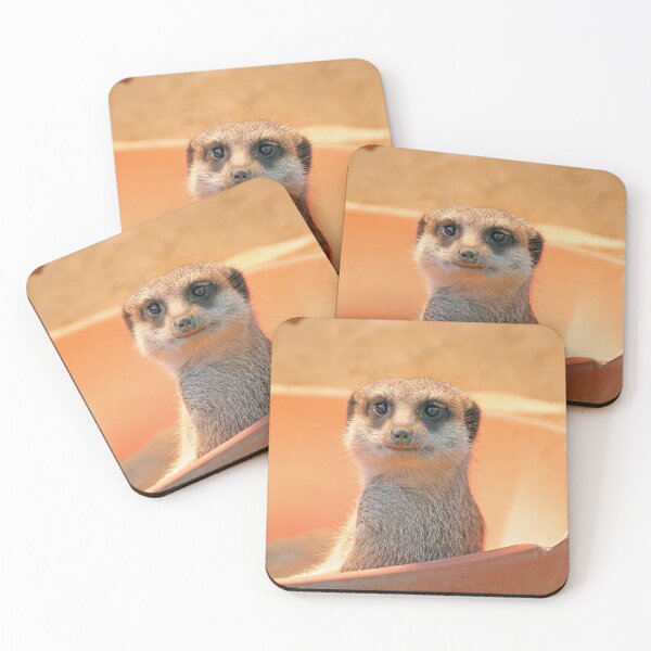 Item preview, Meerkat 119 designed and sold by JAMFoto.