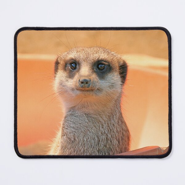 Item preview, Meerkat 119 designed and sold by JAMFoto.