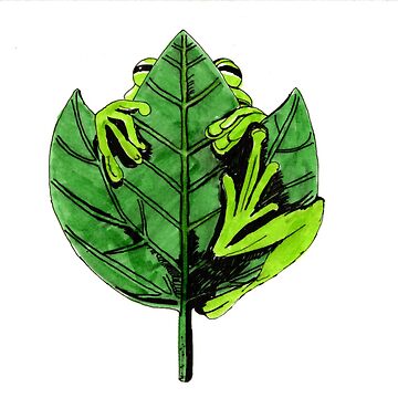 Artwork thumbnail, Hidden Green by Scribbles & Doodles by Jinx