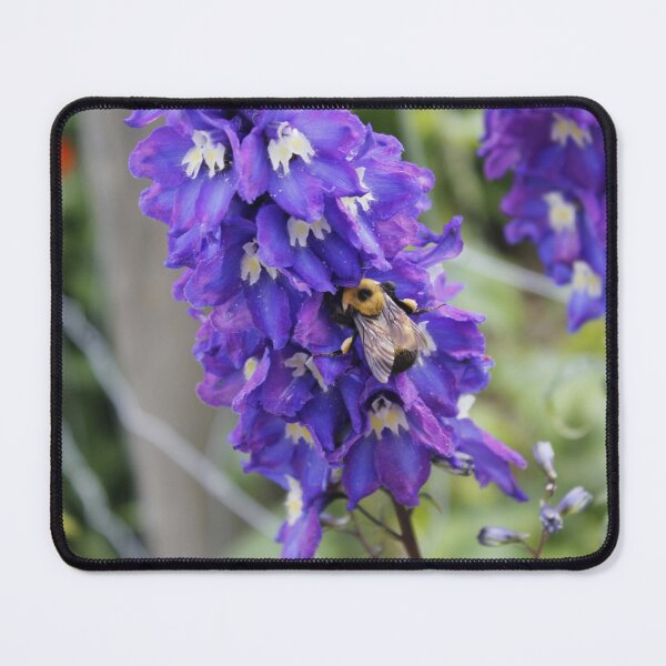 Item preview, Bumble Bee On A Wildflower designed and sold by DylannaFisher.