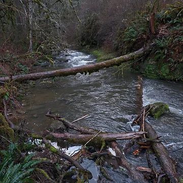Artwork thumbnail, Oregon Rivers by e4exxus