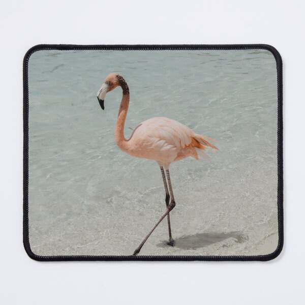 Item preview, Pink Flamingo on Aruba Island designed and sold by LindsayVTravels.