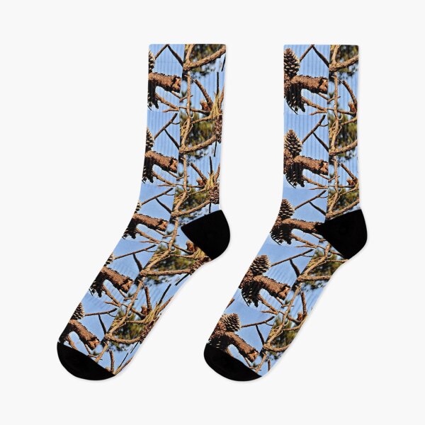 Item preview, Clustered Pinecones Against the Sky designed and sold by Martha Sherman.
