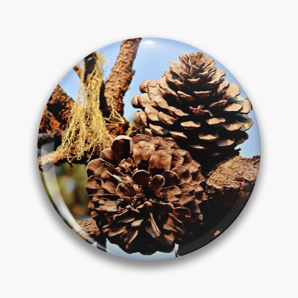 Item preview, Clustered Pinecones Against the Sky designed and sold by Martha Sherman.
