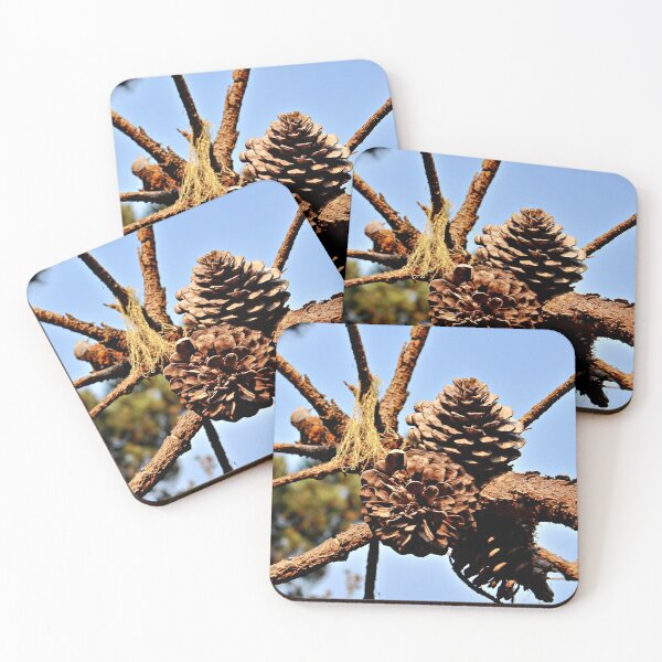 Item preview, Clustered Pinecones Against the Sky designed and sold by Martha Sherman.