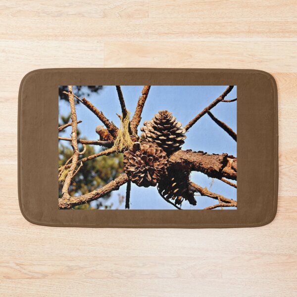 Item preview, Clustered Pinecones Against the Sky designed and sold by Martha Sherman.
