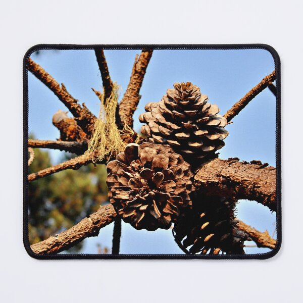 Item preview, Clustered Pinecones Against the Sky designed and sold by Martha Sherman.