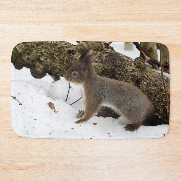 Item preview, Where is the tail. Red squirrel designed and sold by Jouko Lehto Photography.