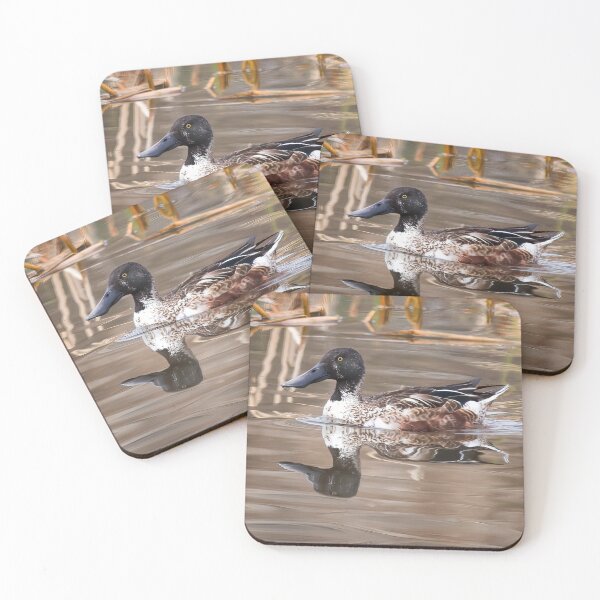Item preview, Northern Shoveler Duck designed and sold by CarolM.