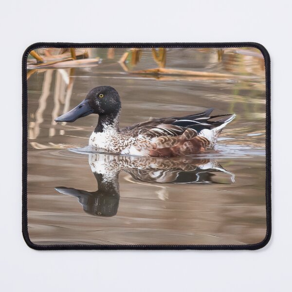 Item preview, Northern Shoveler Duck designed and sold by CarolM.