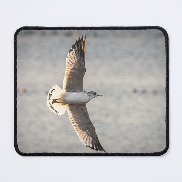 Item preview, Seagull Soaring Low designed and sold by Debra Martz.