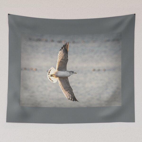 Item preview, Seagull Soaring Low designed and sold by Debra Martz.