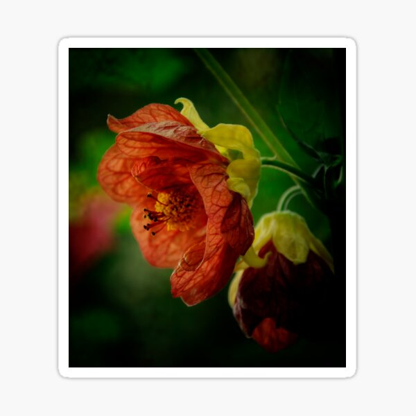 Flower Sticker