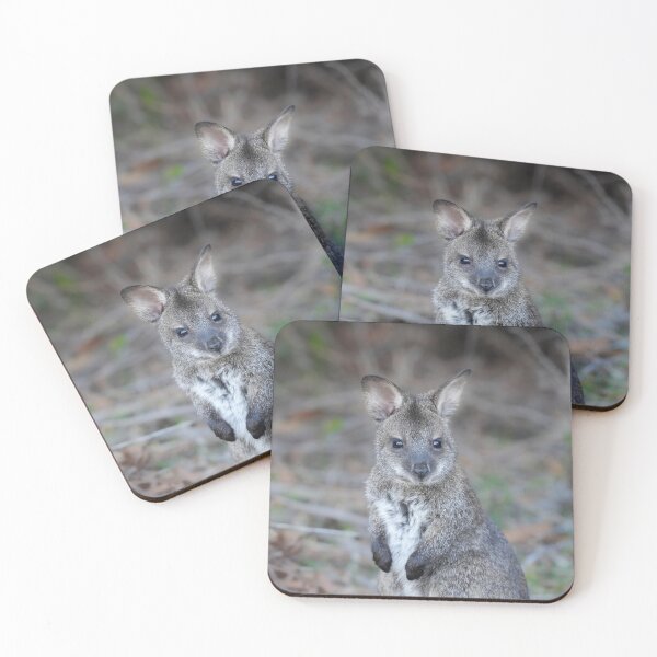 Item preview, Baby Bennett's Wallaby designed and sold by lhowden.