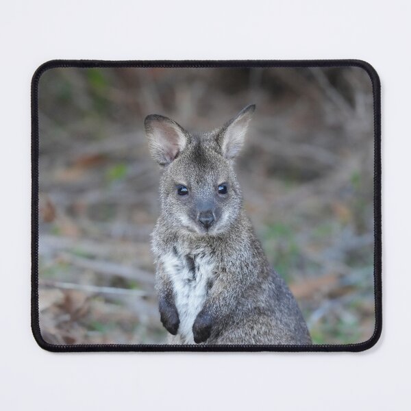 Item preview, Baby Bennett's Wallaby designed and sold by lhowden.