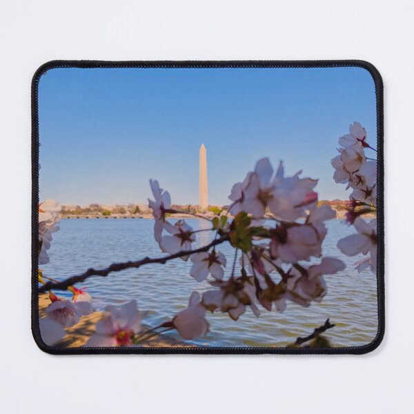 Item preview, Photo of DC Cherry Blossoms designed and sold by ShenandoahSarah.