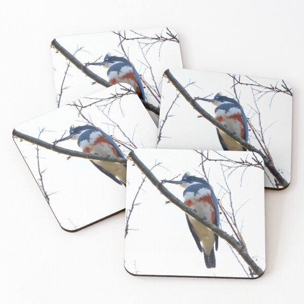 Item preview, Belted kingfisher designed and sold by Parks and X.