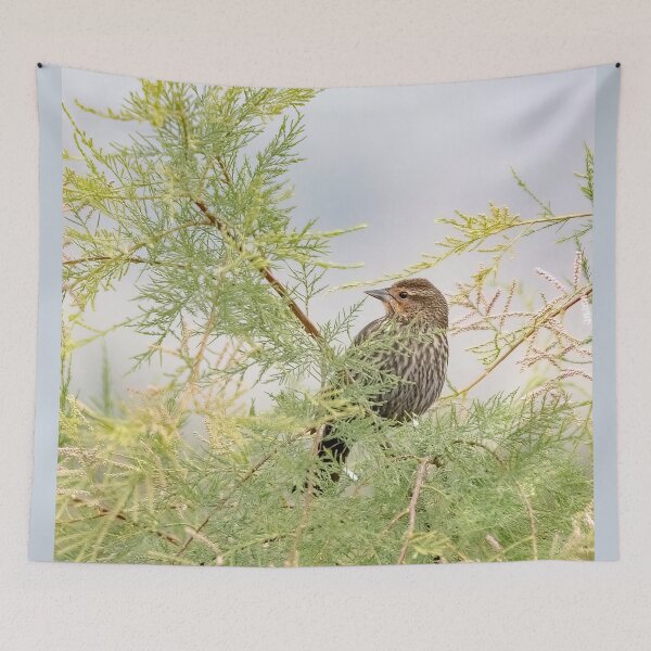 Item preview, Female Red-Winged Blackbird designed and sold by CarolM.