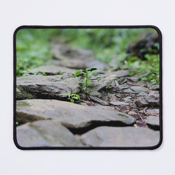 Item preview, Photo of resilient tree designed and sold by ShenandoahSarah.
