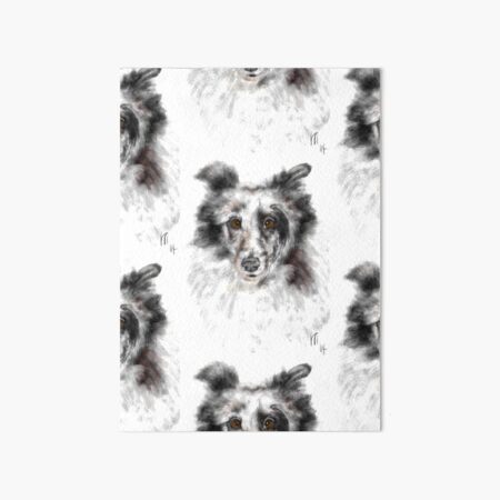 Black and White Sheltie Art Board Print