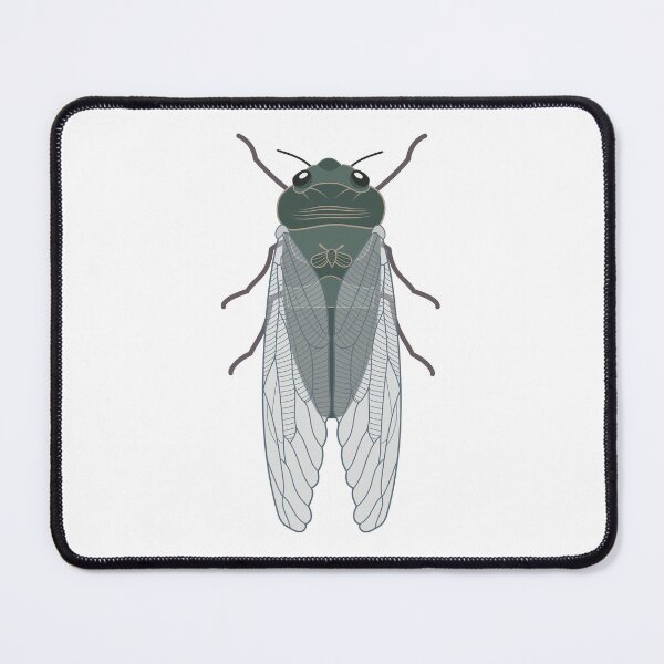 Item preview, Green Grocer Cicada Insect Bug designed and sold by Green Acre Designs.