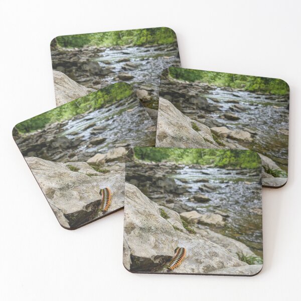 Item preview, Trail Photo designed and sold by ShenandoahSarah.