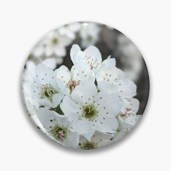 Artikelvorschau, Blumenfoto entworfen und verkauft von ShenandoahSarah.