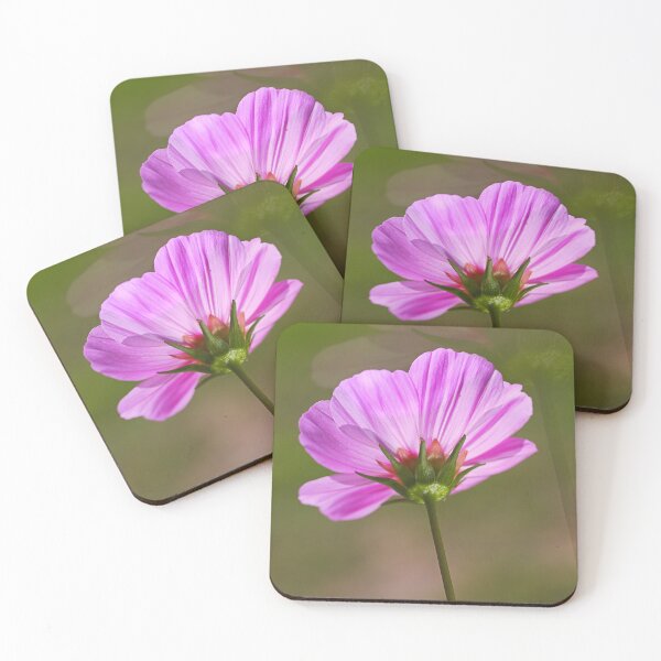 Artikelvorschau, Sanfter und doppelter Kosmos entworfen und verkauft von Joy Watson - Natural Light Photography .