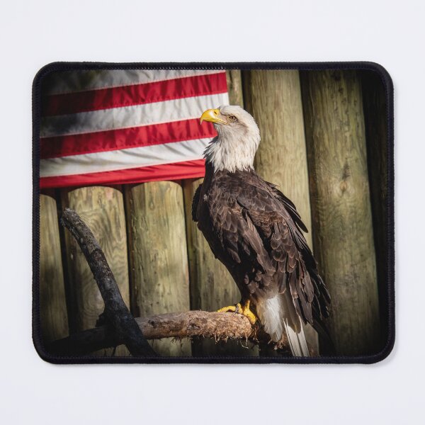 Item preview, Bald Eagle designed and sold by Alla Gill.