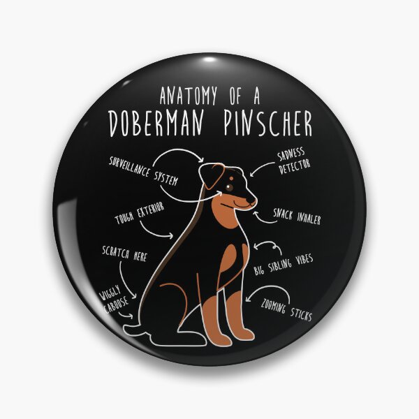 Artikelvorschau, Anatomie des Dobermanns entworfen und verkauft von Clara Hollins.