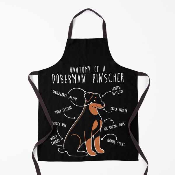 Artikelvorschau, Anatomie des Dobermanns entworfen und verkauft von Clara Hollins.