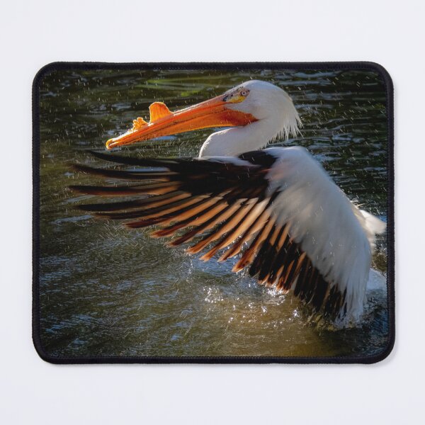 Item preview, White Pelican designed and sold by Alla Gill.