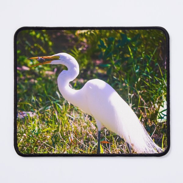 Item preview, Great Egret designed and sold by amandapendl-art.