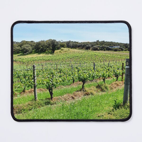 Item preview, Grape Vines Margaret River Wine Region Western Australia designed and sold by Rainbow Farm Photography.
