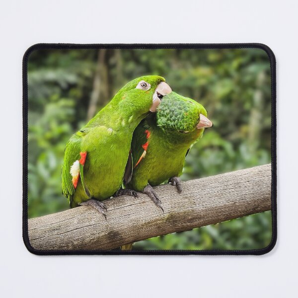 Item preview, Sweet Couple of green Parrots designed and sold by Alla Gill.