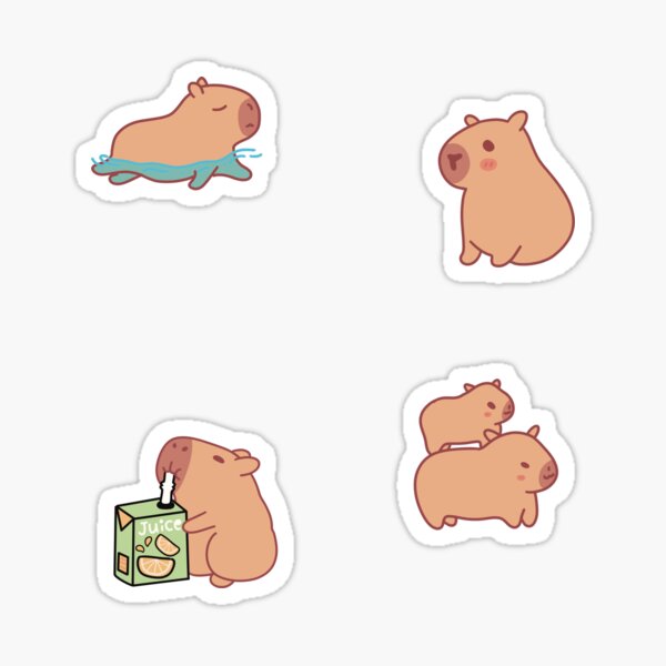 Capybara package 1 Sticker