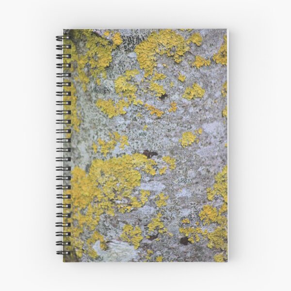 Item preview, Lichen on tree designed and sold by chihuahuashower.