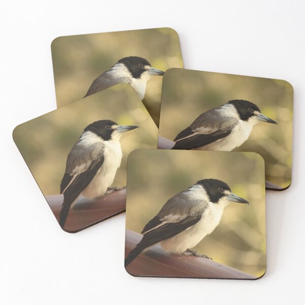 Item preview, Grey Butcherbird designed and sold by NJH110.